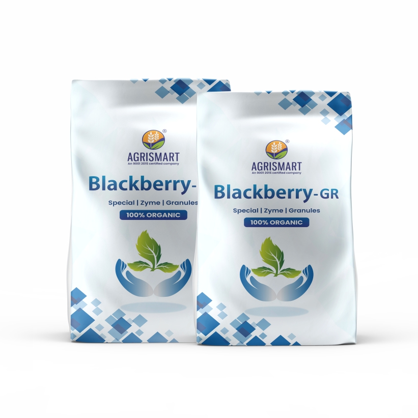 Blackberry-GR