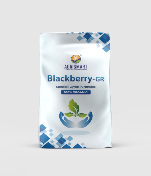 Blackberry
